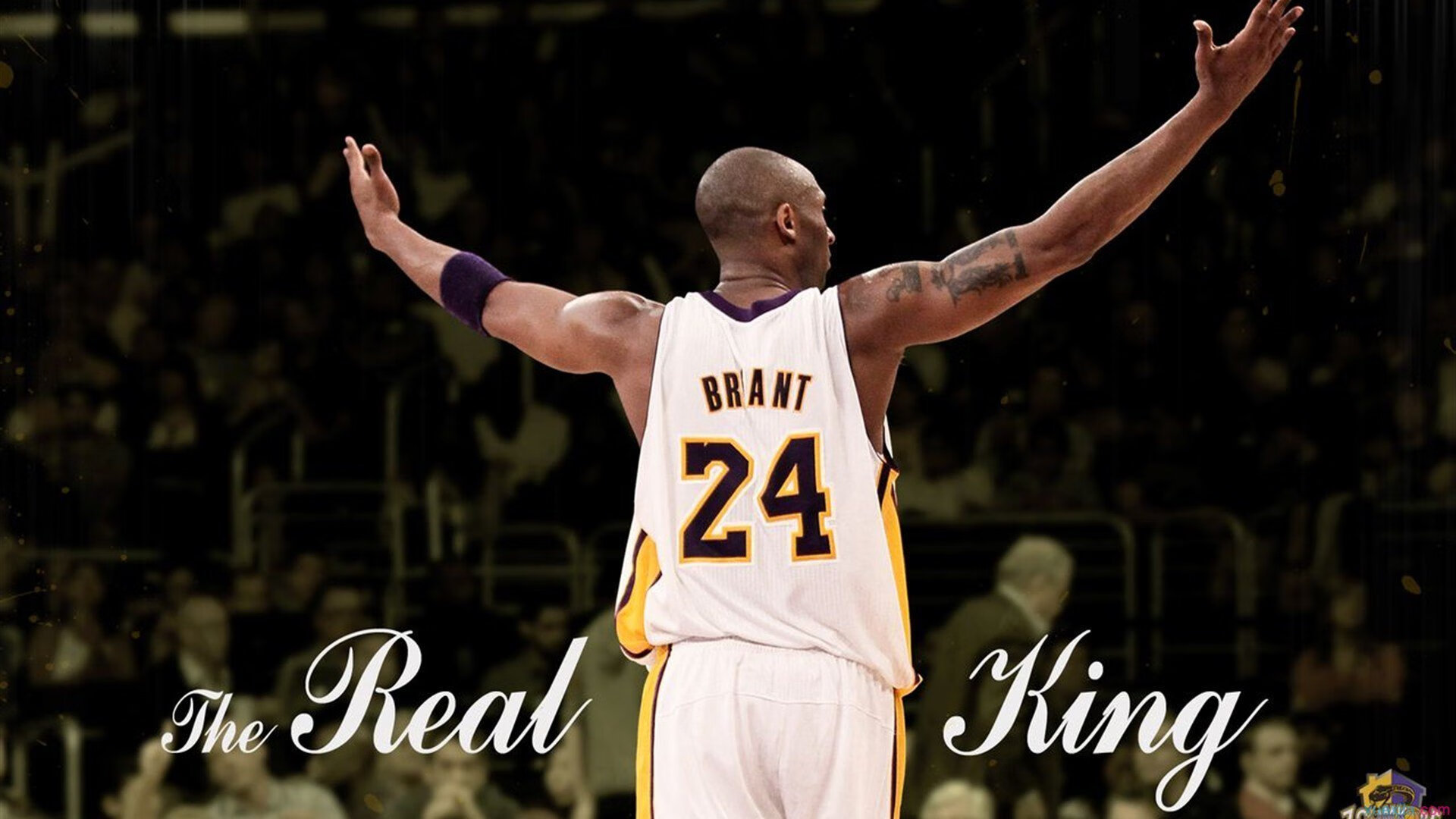 武切维奇持续制造杀伤,深圳队用钢铁洪流冲垮山西